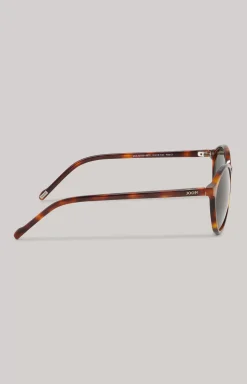 Online JOOP! Sunglasses brown/green