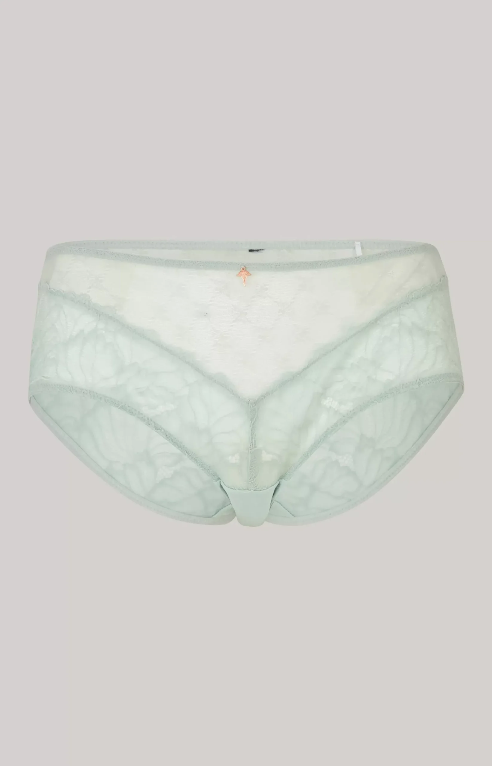 Sale JOOP! Lace Hipster Panties in Sea Grass mint